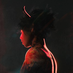 海角小马拉大车
