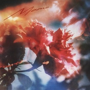 海角小马拉大车
