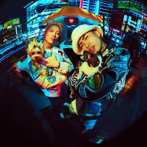 海角小马拉大车
