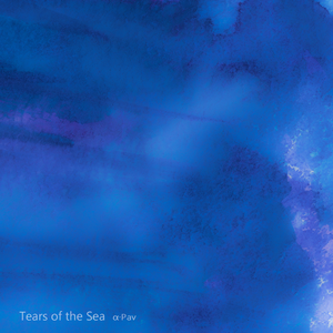 海角小马拉大车
